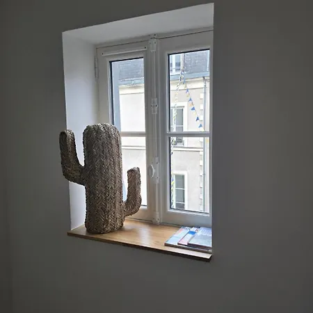 Apartment Centre T2, 2 A 4 Pers, Immeuble De Caractere